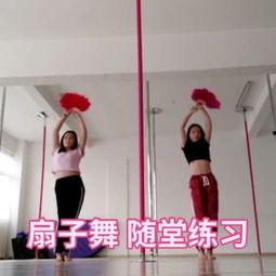 成人扇子舞教学视频全集,轻松入门，舞动魅力人生