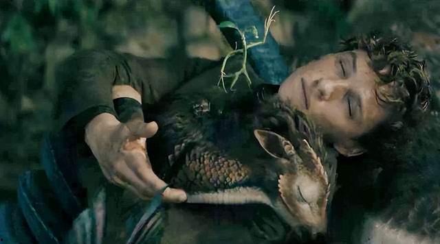 神奇狗变成人类视频播放,一场跨越物种的奇幻之旅