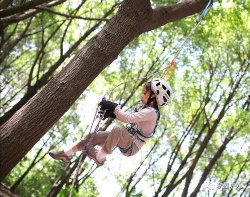成人攀树运动视频,挑战极限，亲近自然的户外探险之旅
