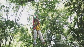 成人攀树运动视频,挑战极限，亲近自然的户外探险之旅