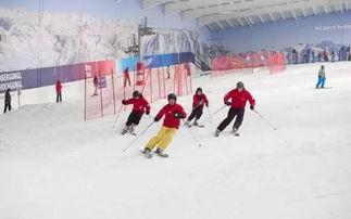 洛阳滑雪成人比赛视频