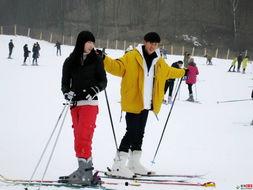 洛阳滑雪成人比赛视频