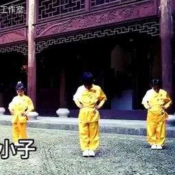 嘻哈小子舞蹈视频成人,从街头舞蹈到舞台闪耀的蜕变之旅