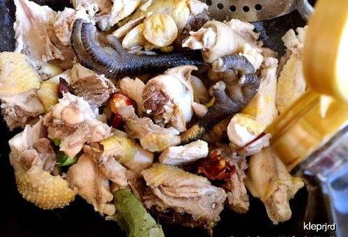 成人版蘑菇视频