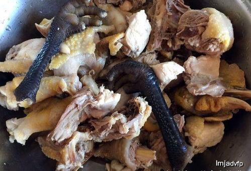 成人版蘑菇视频