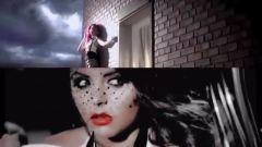 欧美成人版本视频,揭秘背后故事与影响