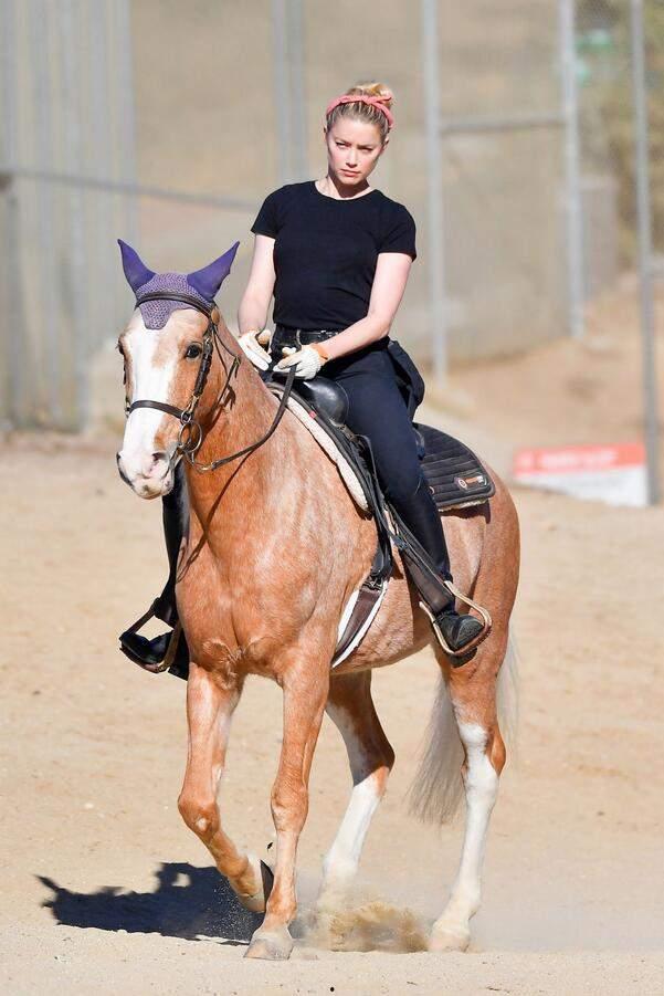 成人骑马摄影视频在线