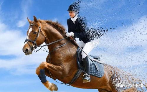 成人骑马摄影视频在线