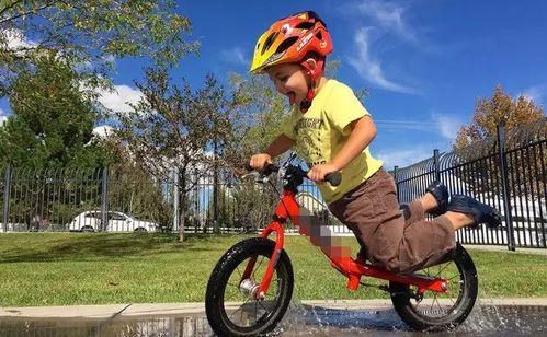 成人滑步车玩法视频,成人滑步车玩法全解析