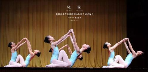 成人古典小碎步舞蹈视频,优雅与节奏的完美融合