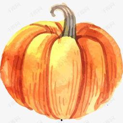 南瓜视频在线播放成人,在线播放成就精彩人生瞬间