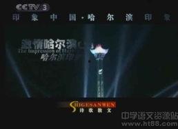 成人散文朗读大全视频,情感与文字的共鸣之旅