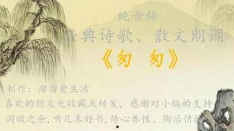 成人散文朗读大全视频,情感与文字的共鸣之旅